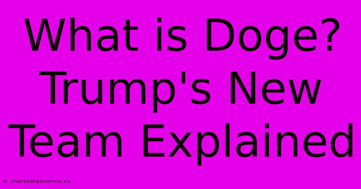 What Is Doge? Trump's New Team Explained