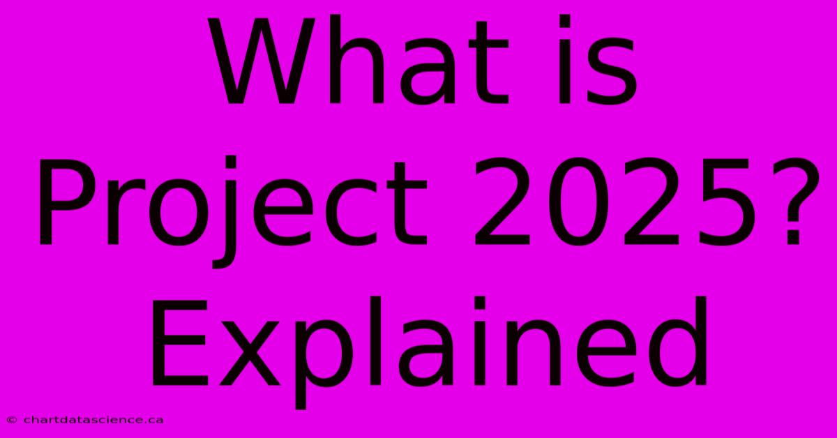 What Is Project 2025? Explained