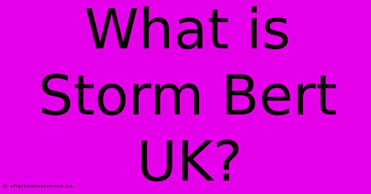 What Is Storm Bert UK?