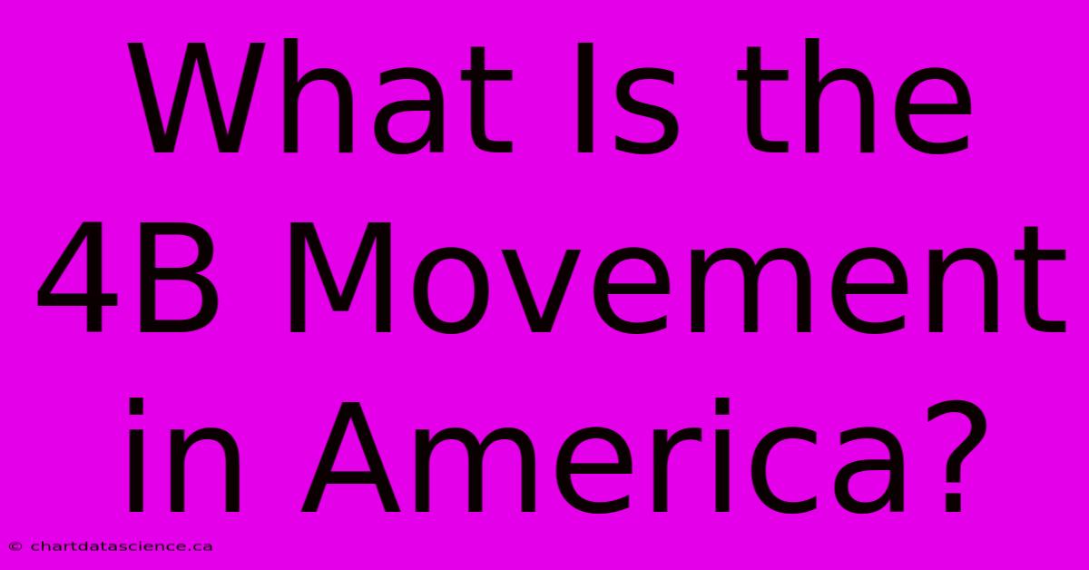 What Is The 4B Movement In America?