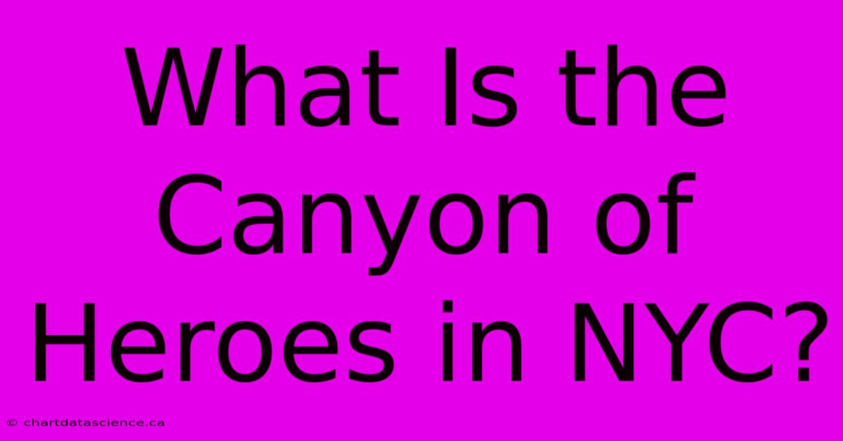 What Is The Canyon Of Heroes In NYC?