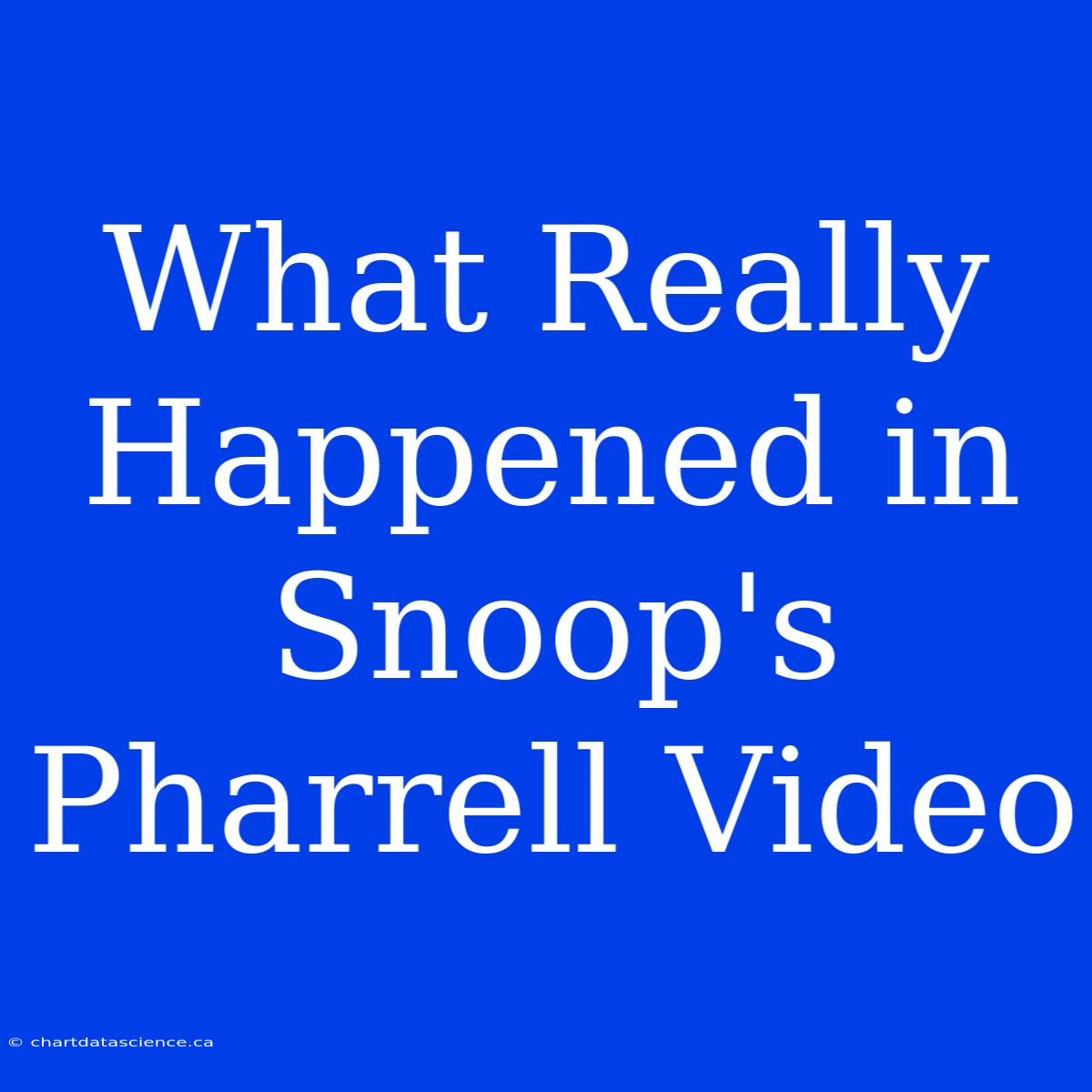 What Really Happened In Snoop's Pharrell Video