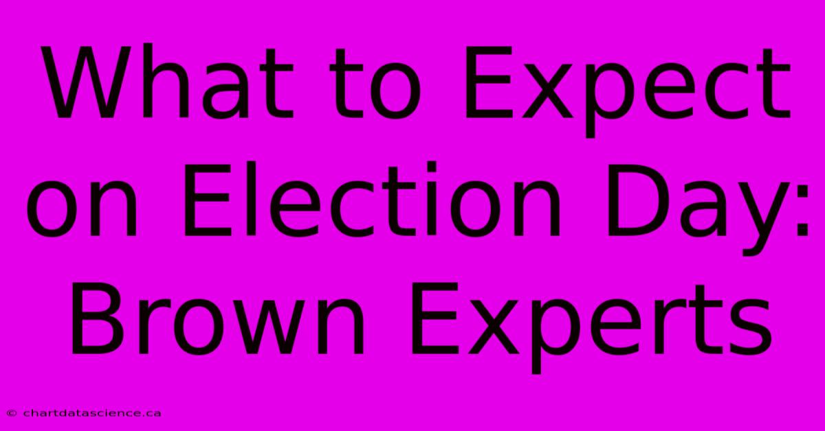 What To Expect On Election Day: Brown Experts