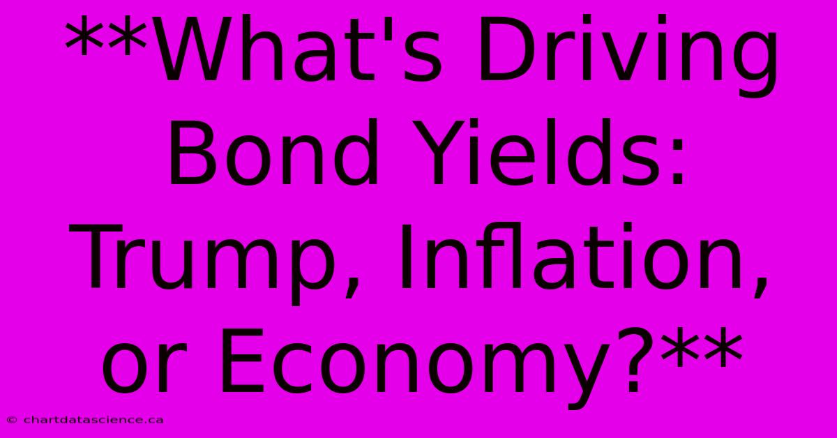 **What's Driving Bond Yields: Trump, Inflation, Or Economy?**