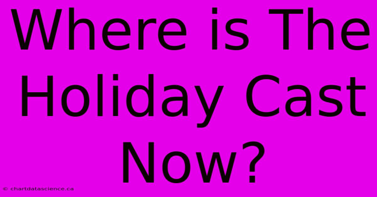 Where Is The Holiday Cast Now?