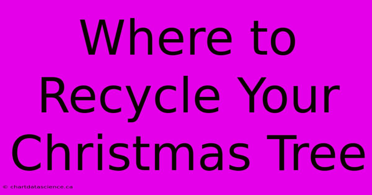 Where To Recycle Your Christmas Tree