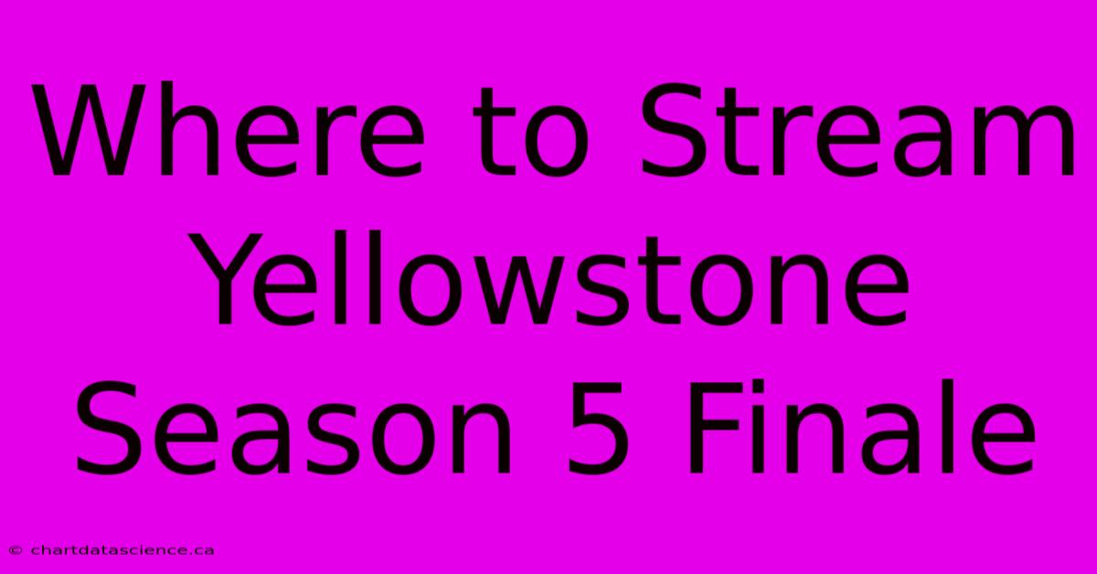 Where To Stream Yellowstone Season 5 Finale