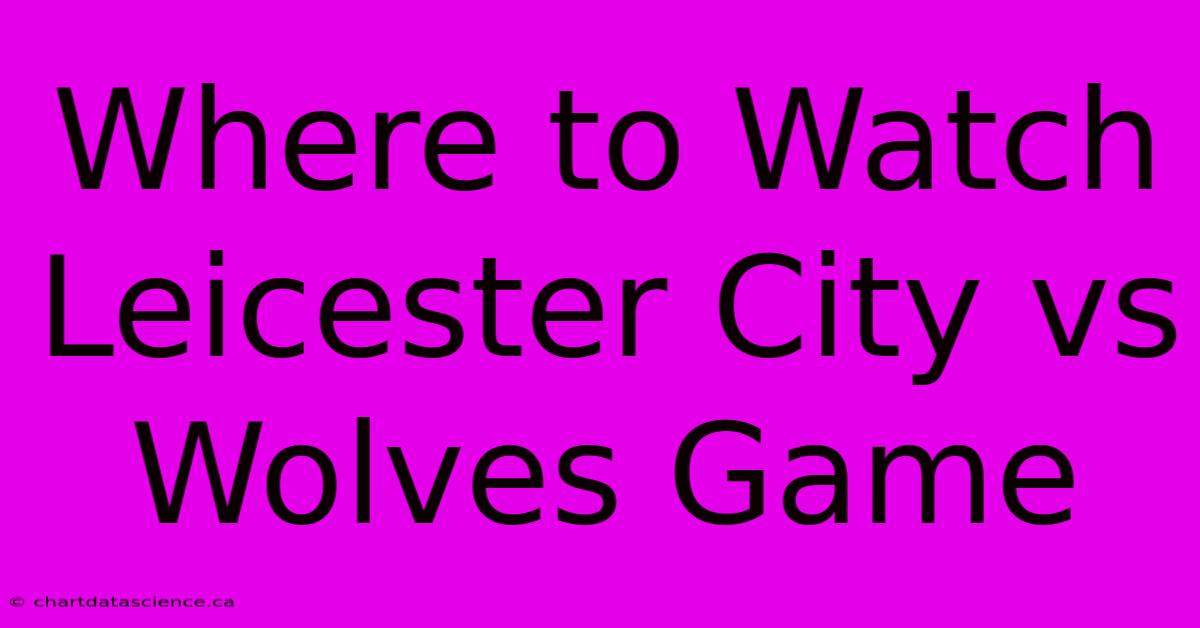 Where To Watch Leicester City Vs Wolves Game