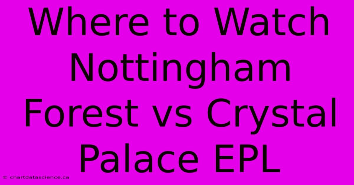 Where To Watch Nottingham Forest Vs Crystal Palace EPL