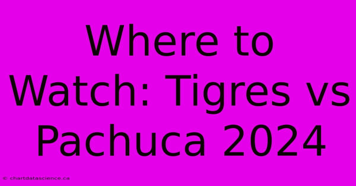 Where To Watch: Tigres Vs Pachuca 2024