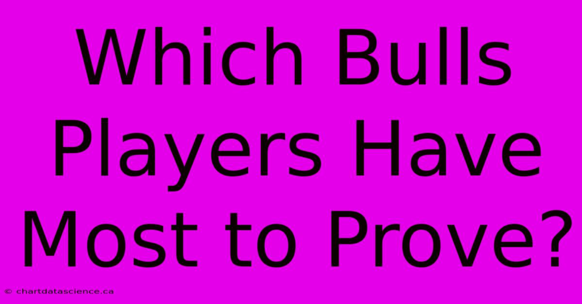 Which Bulls Players Have Most To Prove? 