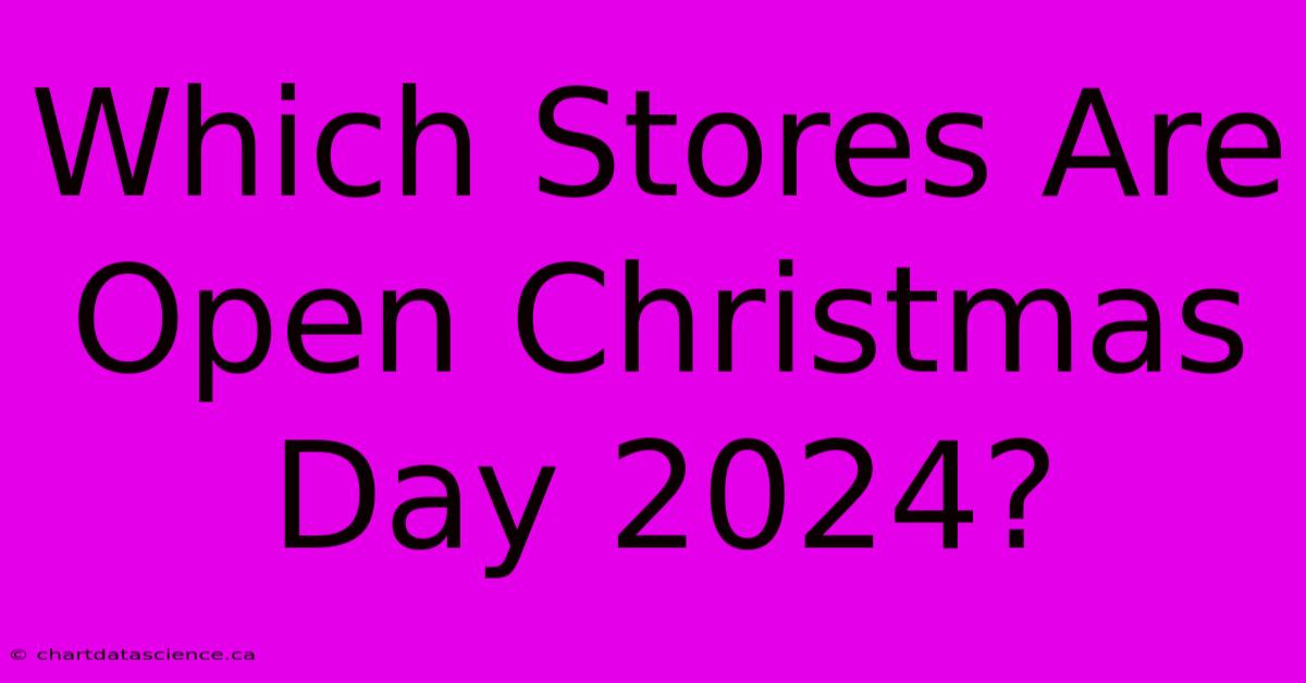 Which Stores Are Open Christmas Day 2024?