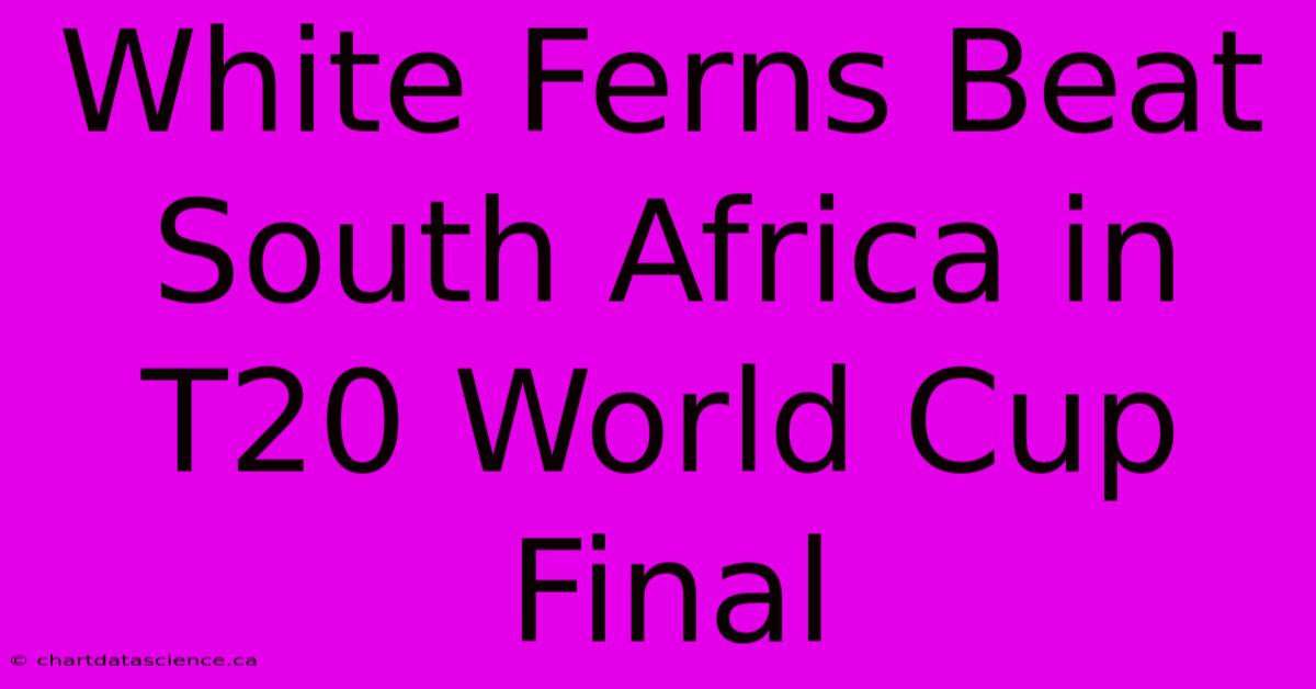 White Ferns Beat South Africa In T20 World Cup Final 