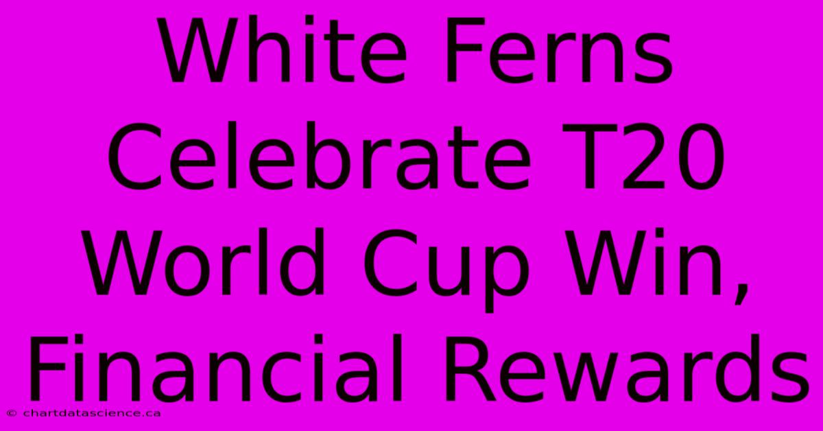 White Ferns Celebrate T20 World Cup Win, Financial Rewards