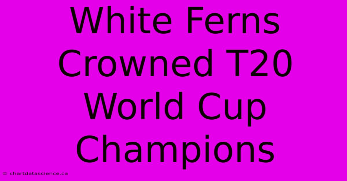 White Ferns Crowned T20 World Cup Champions