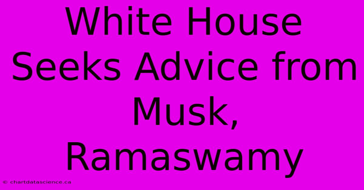 White House Seeks Advice From Musk, Ramaswamy