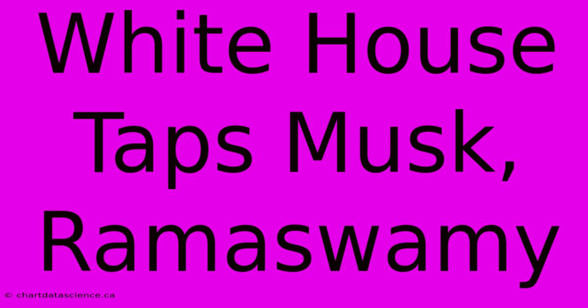 White House Taps Musk, Ramaswamy