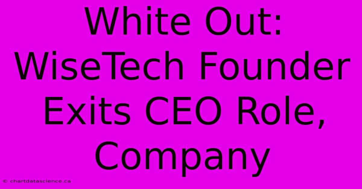 White Out: WiseTech Founder Exits CEO Role, Company