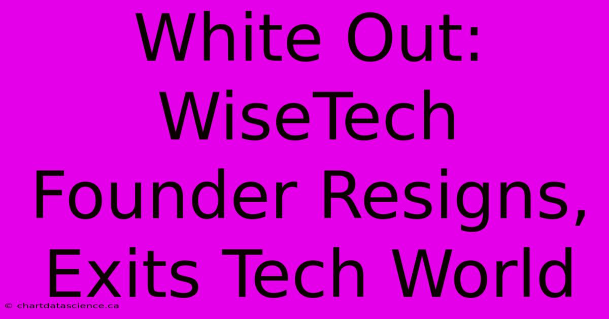 White Out: WiseTech Founder Resigns, Exits Tech World 