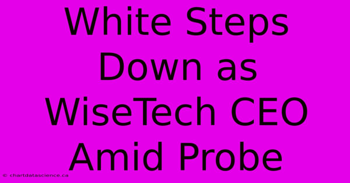 White Steps Down As WiseTech CEO Amid Probe 