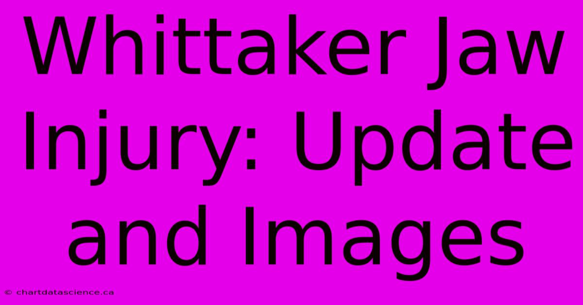 Whittaker Jaw Injury: Update And Images