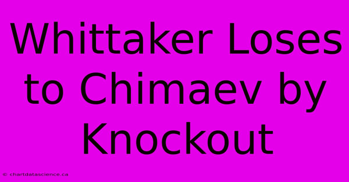 Whittaker Loses To Chimaev By Knockout