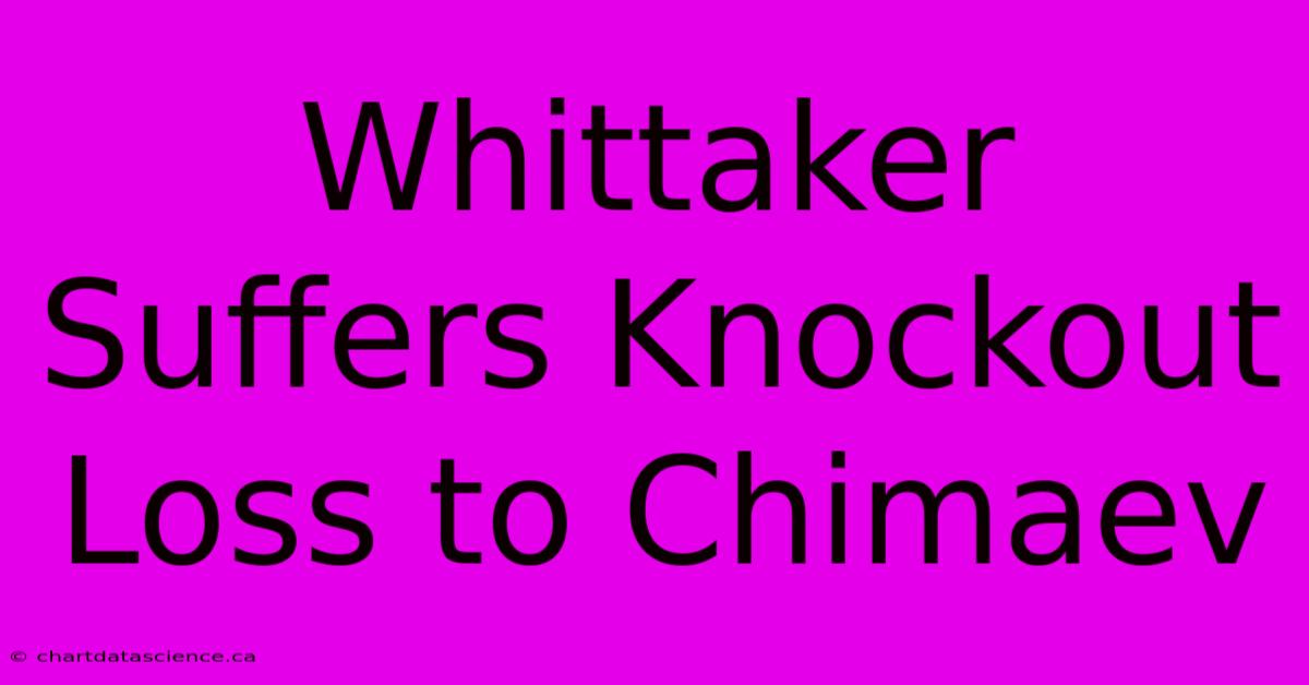 Whittaker Suffers Knockout Loss To Chimaev