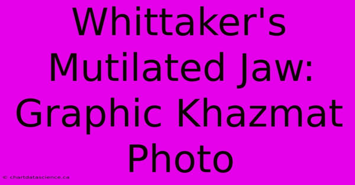 Whittaker's Mutilated Jaw: Graphic Khazmat Photo