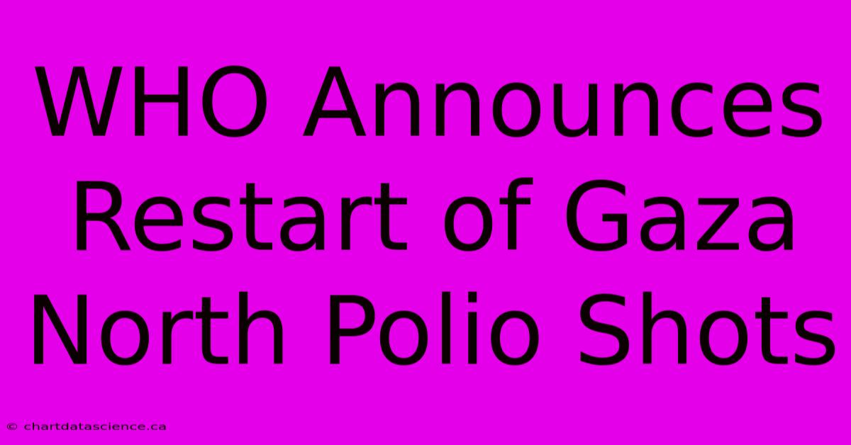 WHO Announces Restart Of Gaza North Polio Shots