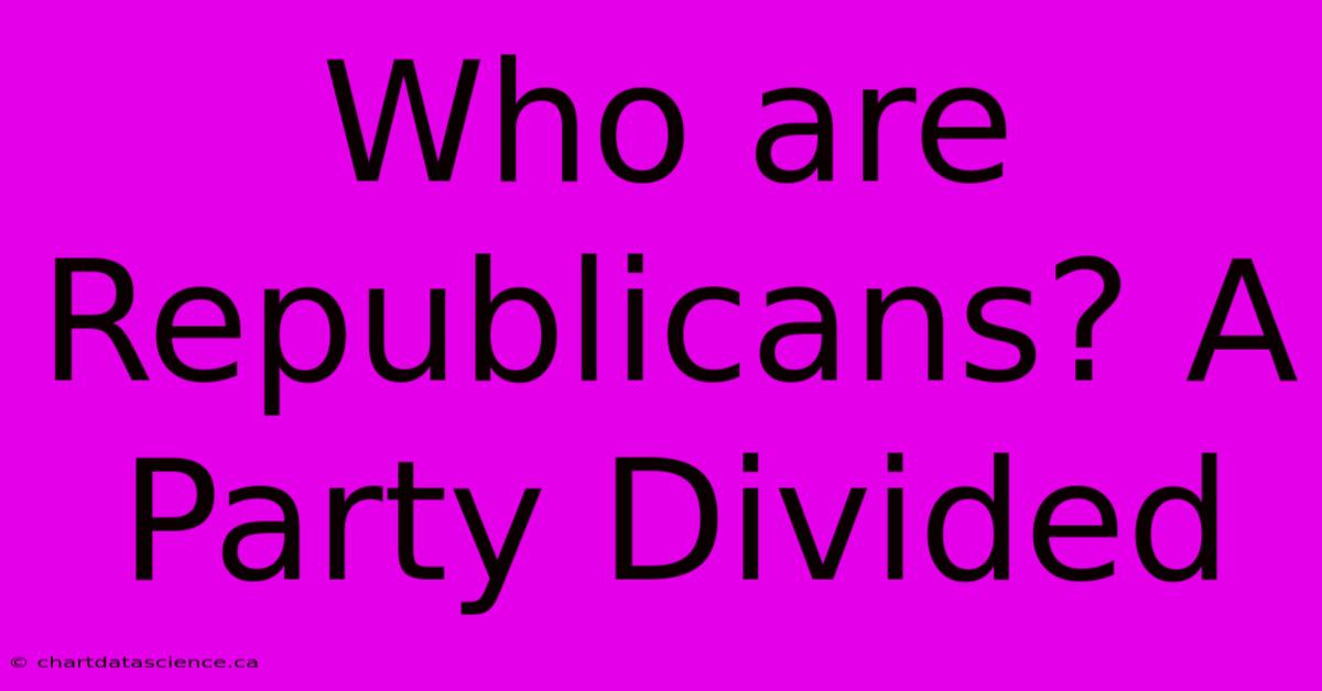 Who Are Republicans? A Party Divided