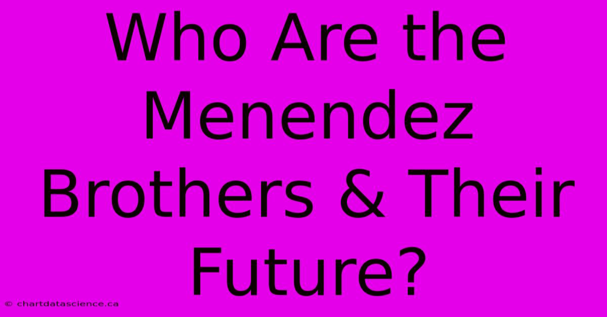 Who Are The Menendez Brothers & Their Future?