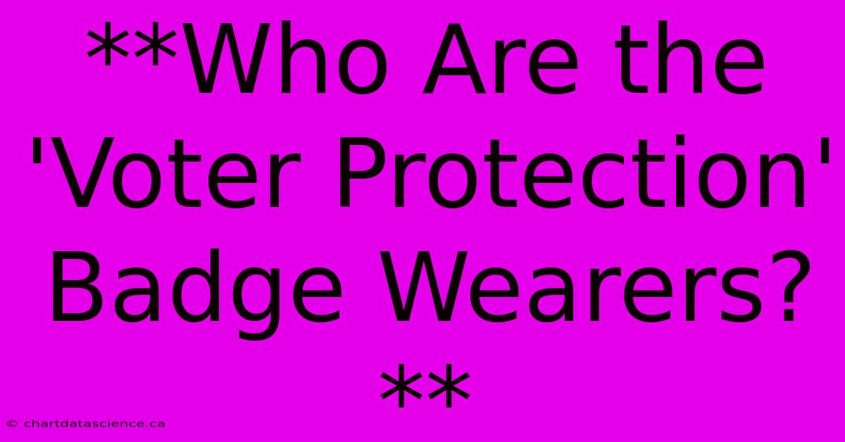 **Who Are The 'Voter Protection' Badge Wearers?** 