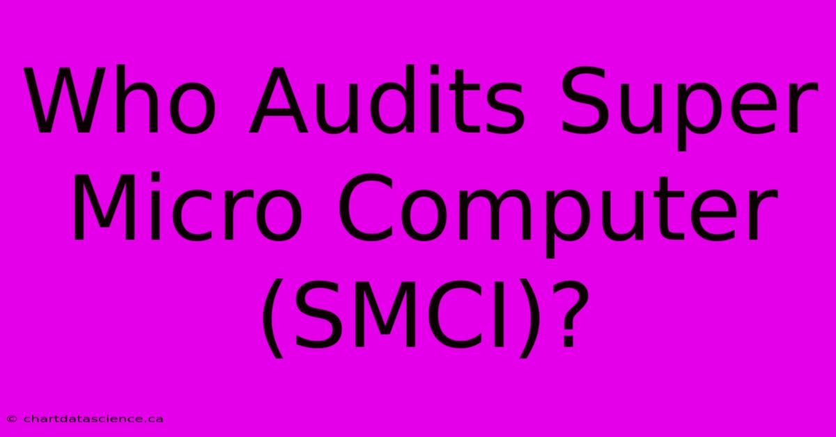 Who Audits Super Micro Computer (SMCI)? 