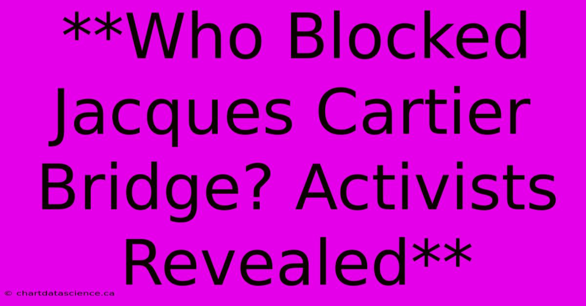 **Who Blocked Jacques Cartier Bridge? Activists Revealed**