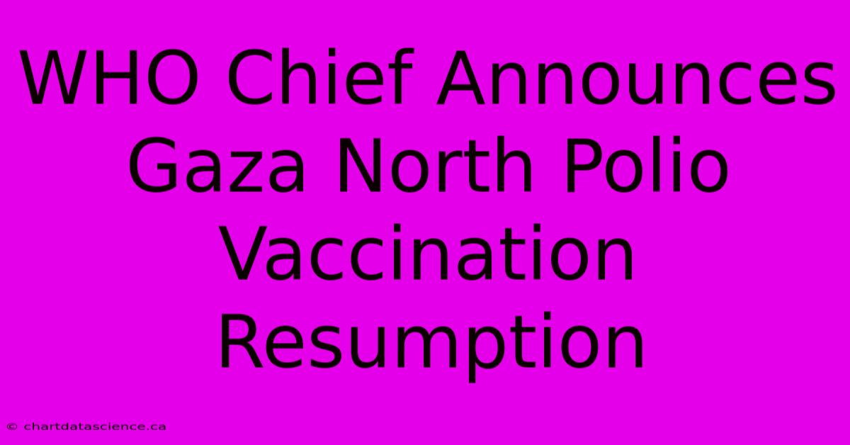 WHO Chief Announces Gaza North Polio Vaccination Resumption