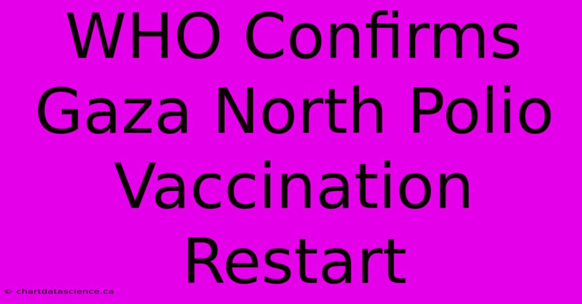 WHO Confirms Gaza North Polio Vaccination Restart