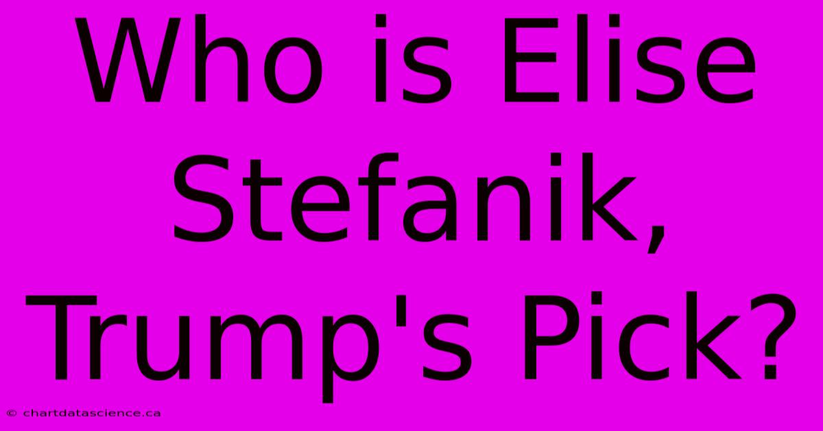 Who Is Elise Stefanik, Trump's Pick?