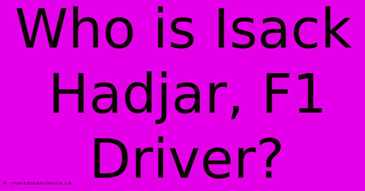 Who Is Isack Hadjar, F1 Driver?