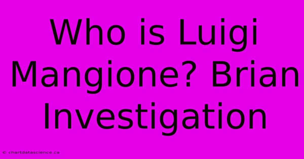 Who Is Luigi Mangione? Brian Investigation