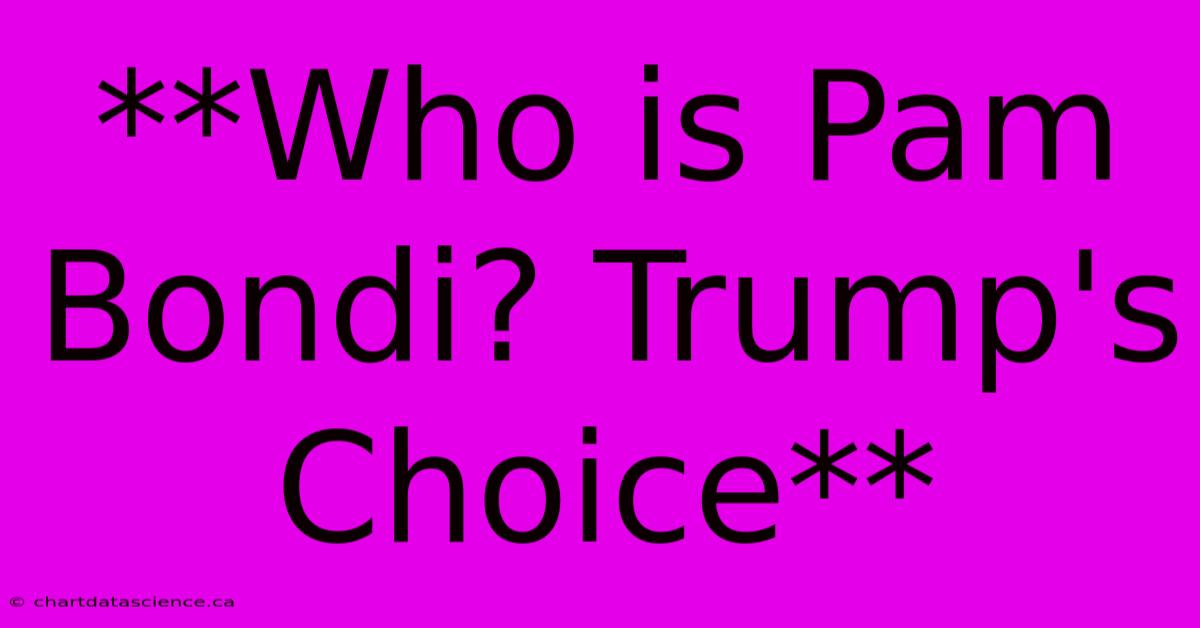 **Who Is Pam Bondi? Trump's Choice**