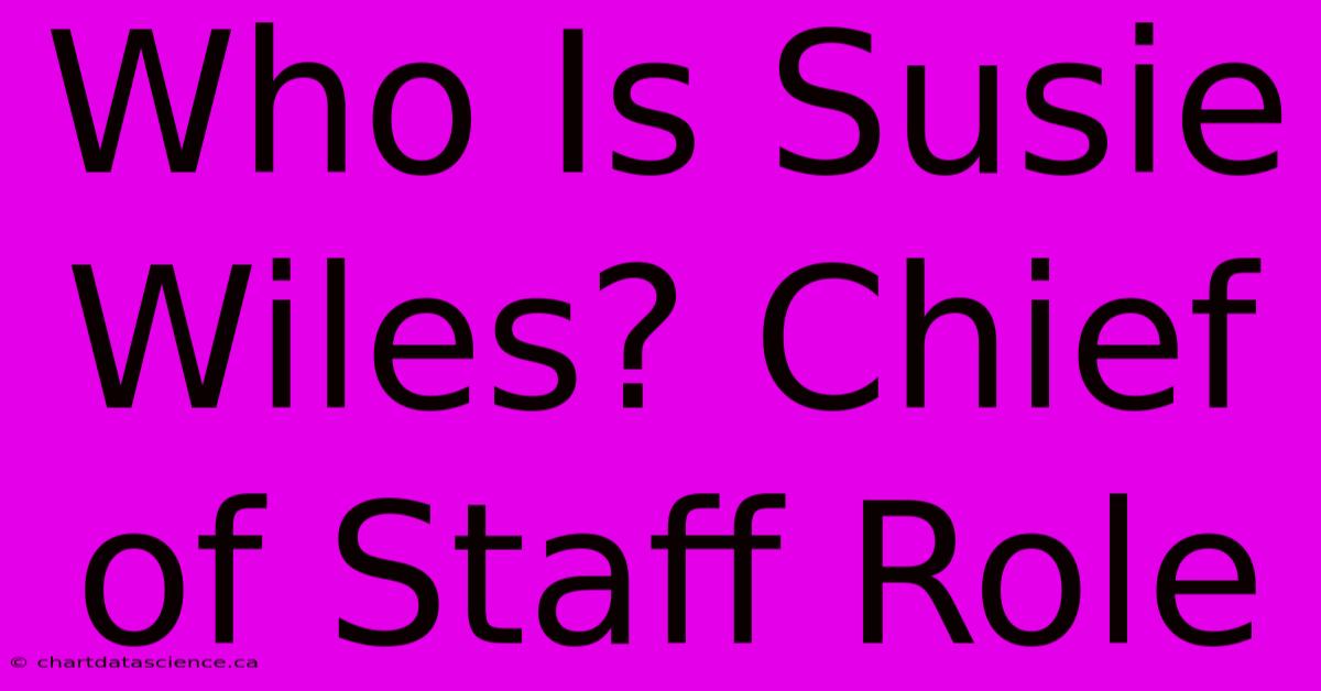 Who Is Susie Wiles? Chief Of Staff Role