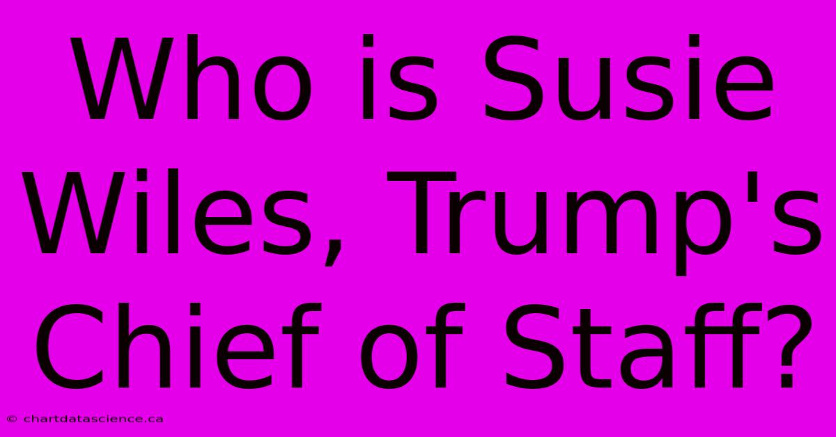 Who Is Susie Wiles, Trump's Chief Of Staff?