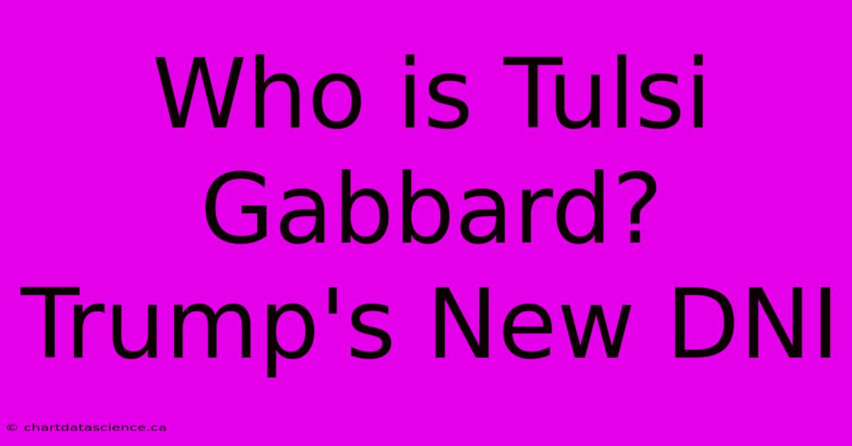 Who Is Tulsi Gabbard? Trump's New DNI