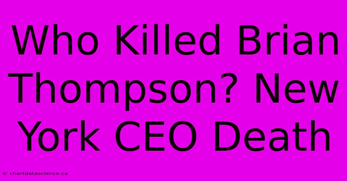 Who Killed Brian Thompson? New York CEO Death