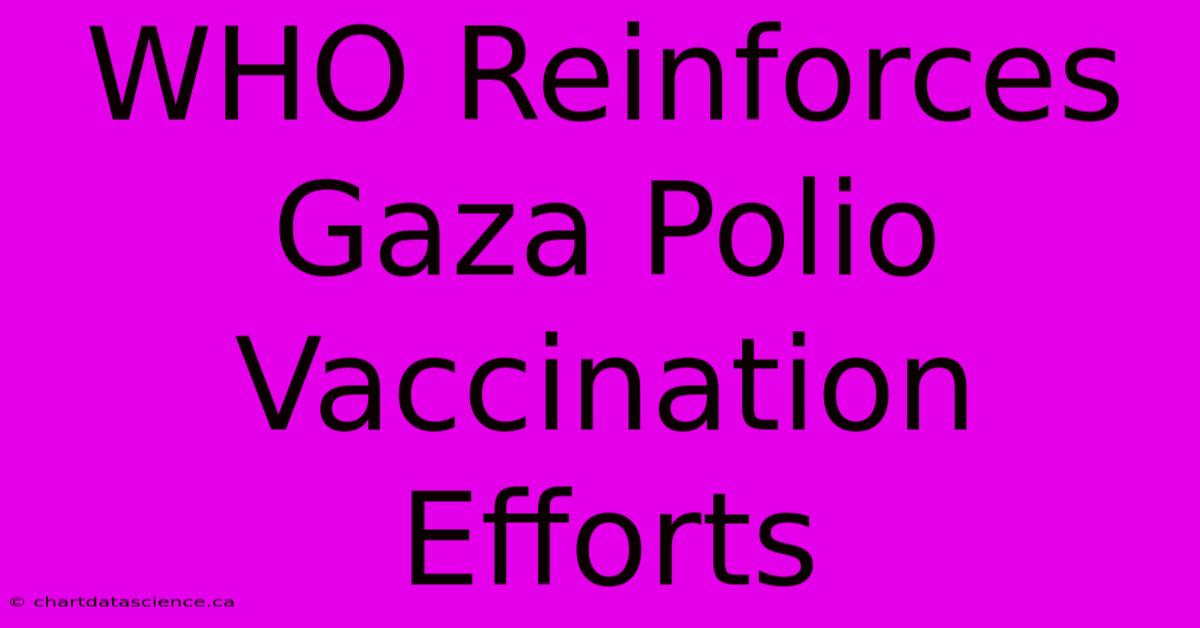 WHO Reinforces Gaza Polio Vaccination Efforts