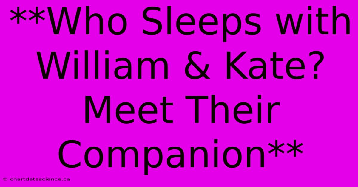 **Who Sleeps With William & Kate? Meet Their Companion**