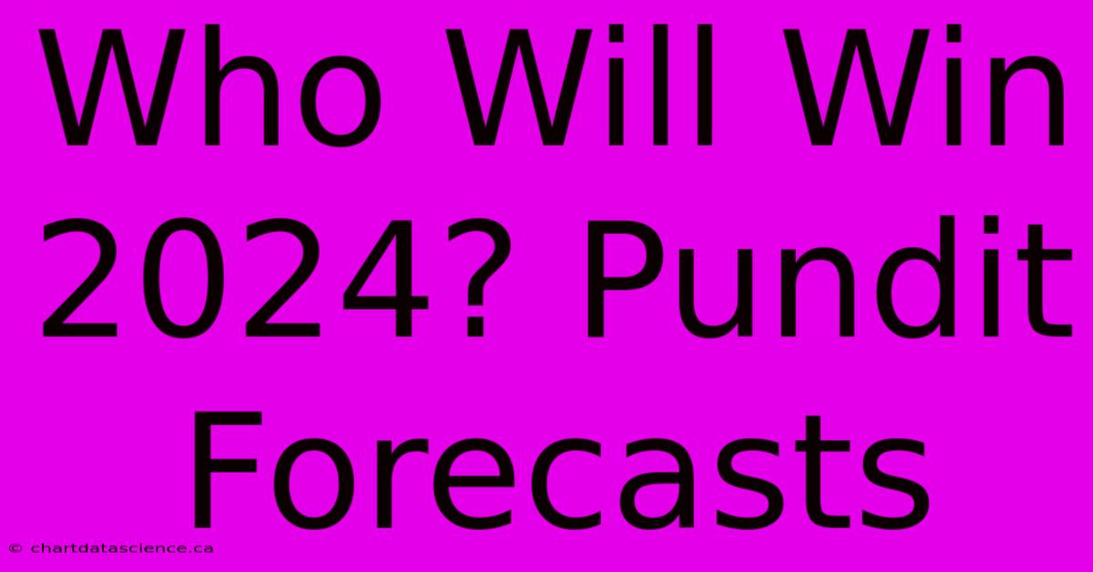 Who Will Win 2024? Pundit Forecasts