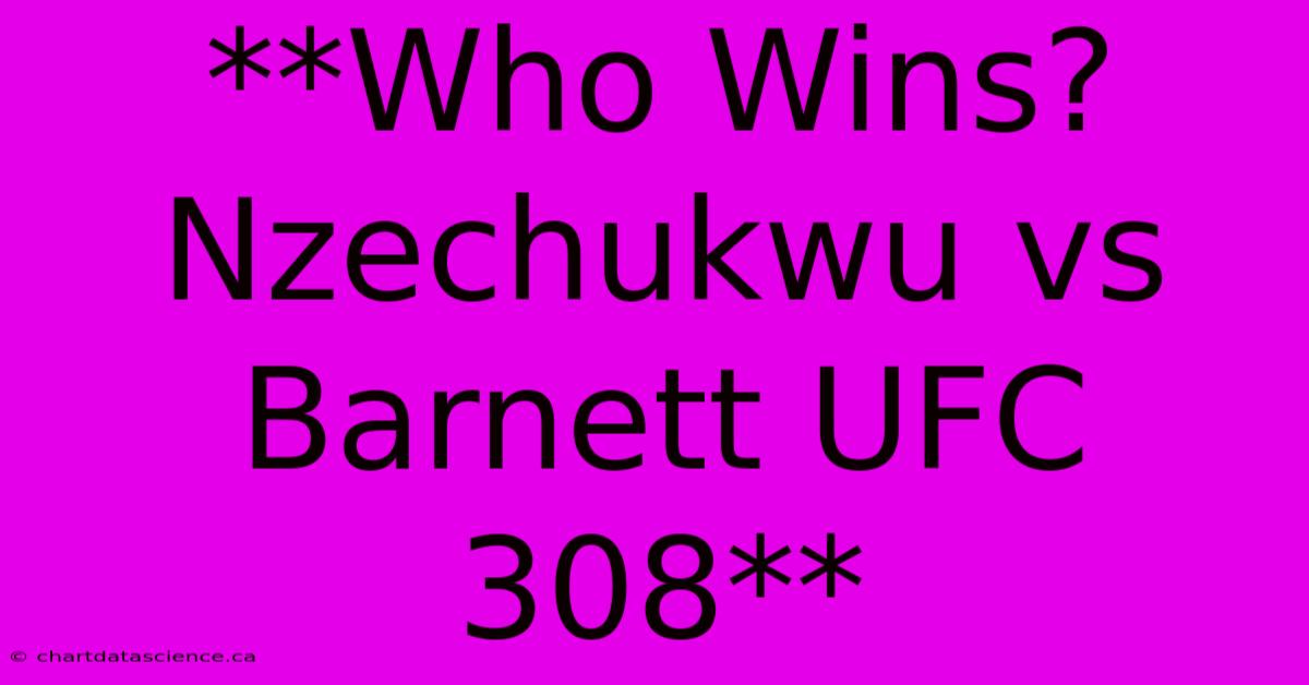 **Who Wins? Nzechukwu Vs Barnett UFC 308** 