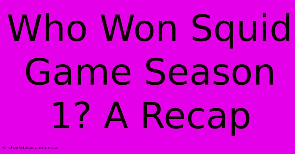 Who Won Squid Game Season 1? A Recap