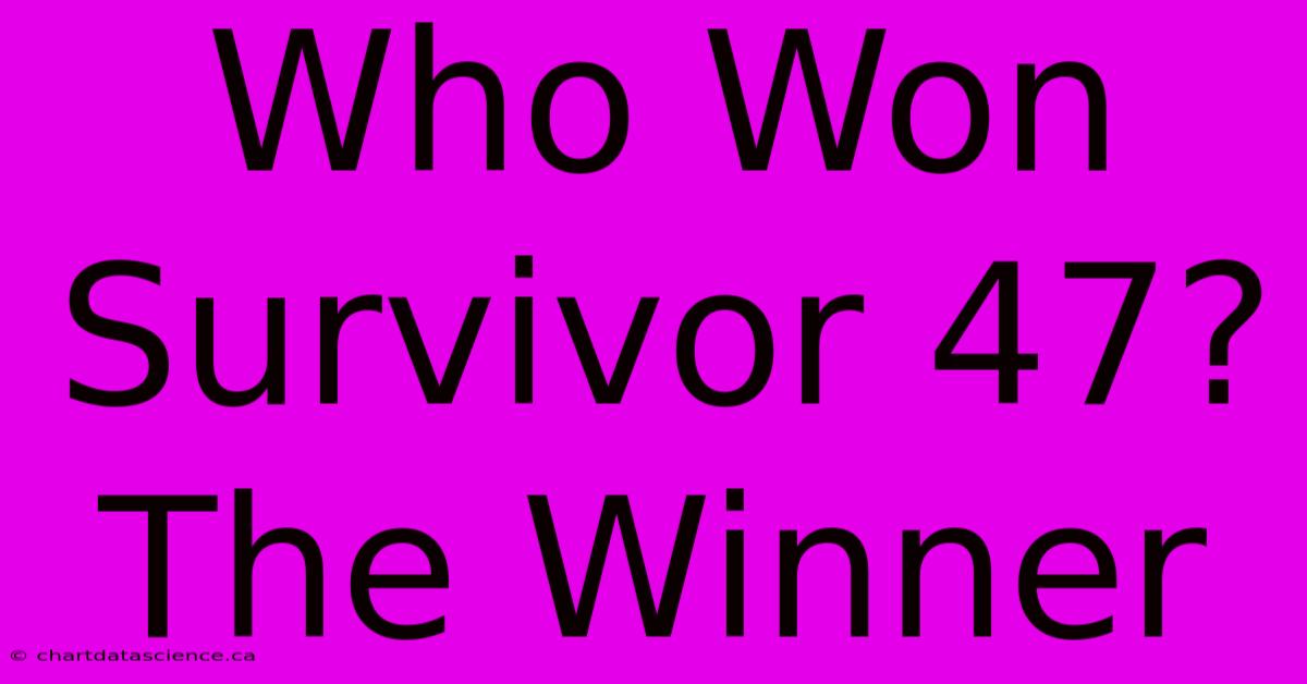 Who Won Survivor 47? The Winner